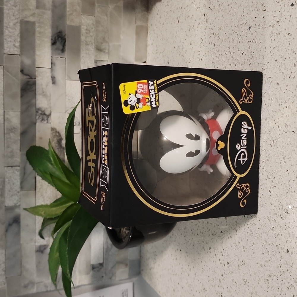 Disney Mickey Mouse Shorts